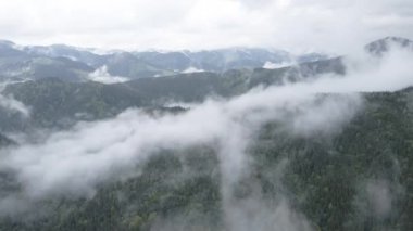 Dağlarda sis var. Ağır çekim. Karpat Dağları. Ukrayna. Havadan. Gri, düz