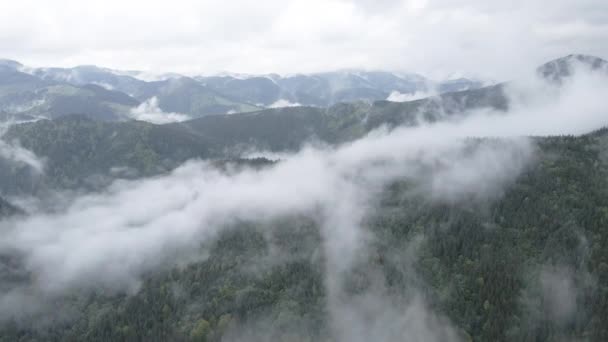 Brouillard dans les montagnes. Au ralenti. Les montagnes des Carpates. Ukraine. Aérien. Gris, plat — Video