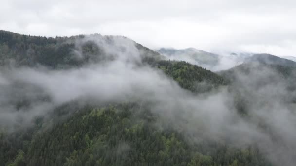 Nebel in den Bergen. Zeitlupe. Karpaten. Ukraine. Antenne. Grau, flach — Stockvideo