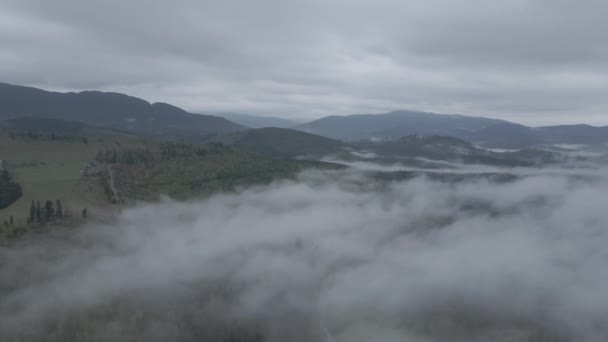 Niebla en las montañas. En cámara lenta. Montañas Cárpatas. Ucrania. Aérea. Gris, plano — Vídeo de stock