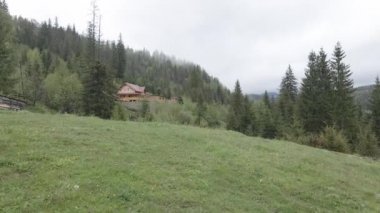 Dağlarda bir ev. Ağır çekim. Karpatlar. Ukrayna. Havadan. Gri, düz