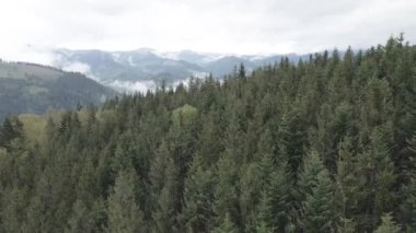 Karpat Dağları 'nın manzarası. Ağır çekim. Ukrayna. Havadan. Gri, düz