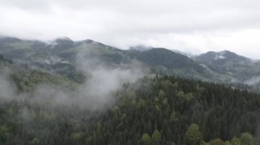Karpat Dağları 'nın manzarası. Ağır çekim. Ukrayna. Havadan. Gri, düz
