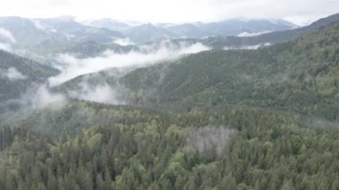 Karpat Dağları 'nın manzarası. Ağır çekim. Ukrayna. Havadan. Gri, düz