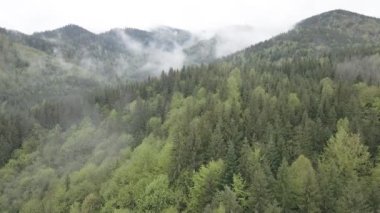 Karpat Dağları 'nın manzarası. Ağır çekim. Ukrayna. Havadan. Gri, düz