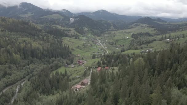 Paysage des Carpates. Au ralenti. Ukraine. Aérien. Gris, plat — Video