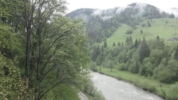 Landschap van de Karpaten. Langzame beweging. Oekraïne. Luchtfoto. Grijs, plat — Stockvideo