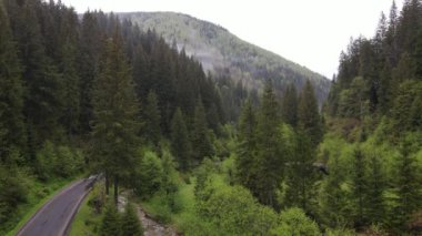 Karpat Dağları 'nın manzarası. Ağır çekim. Ukrayna. Havadan. Gri, düz