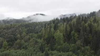 Karpat Dağları 'nın manzarası. Ağır çekim. Ukrayna. Havadan. Gri, düz