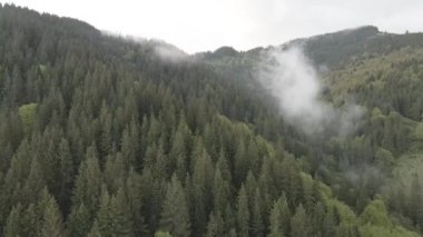 Karpat Dağları 'nın manzarası. Ağır çekim. Ukrayna. Havadan. Gri, düz