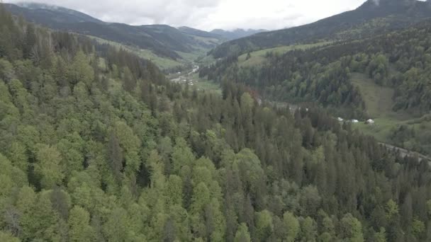 Paysage des Carpates. Au ralenti. Ukraine. Aérien. Gris, plat 