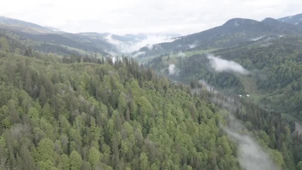 Paisaje de las montañas Cárpatas. En cámara lenta. Ucrania. Aérea. Gris, plano — Vídeos de Stock