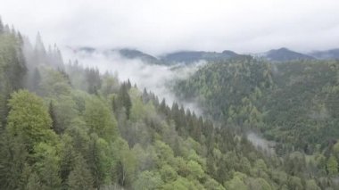 Karpat Dağları 'nın manzarası. Ağır çekim. Ukrayna. Havadan. Gri, düz