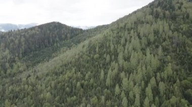 Karpat Dağları 'nın manzarası. Ağır çekim. Ukrayna. Havadan. Gri, düz