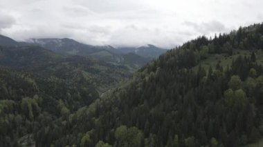 Karpat Dağları 'nın manzarası. Ağır çekim. Ukrayna. Havadan. Gri, düz