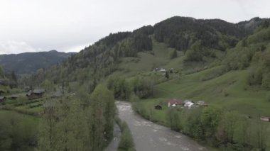 Dağlardaki nehir. Ağır çekim. Karpatlar. Ukrayna. Havadan. Gri, düz