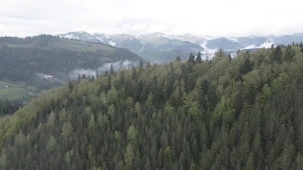 Paisaje de las montañas Cárpatas. En cámara lenta. Ucrania. Aérea. Gris, plano — Vídeos de Stock