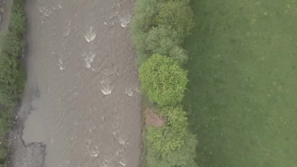 Rio nas montanhas. Movimento lento. Cárpatos. Ucrânia. Aéreo. Cinza, plano — Vídeo de Stock