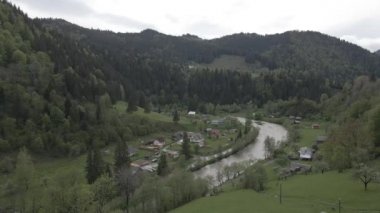 Dağlardaki nehir. Ağır çekim. Karpatlar. Ukrayna. Havadan. Gri, düz