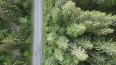 Dağlardaki yol. Ağır çekim. Karpatlar. Ukrayna. Havadan. Gri, düz