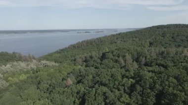Ukrayna doğası, Dnipro Nehri. Hava görüntüsü. Ağır çekim, düz, gri