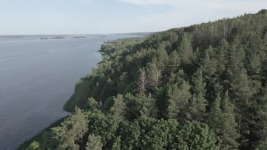 Ukrayna doğası, Dnipro Nehri. Hava görüntüsü. Ağır çekim, düz, gri