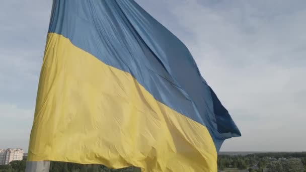 乌克兰国旗。慢动作Kyiv 。乌克兰。灰色，平坦 — 图库视频影像
