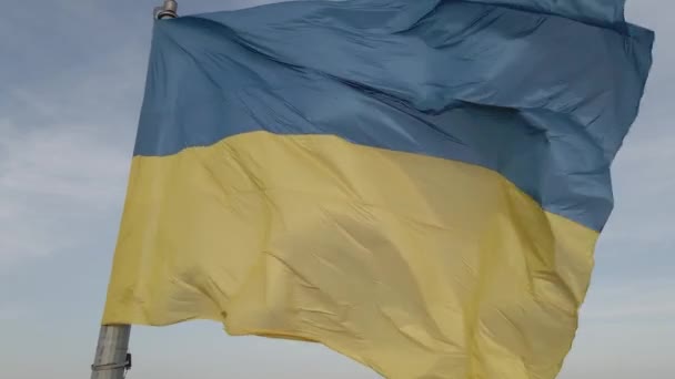 Ukrainian flag. Slow motion. Kyiv. Ukraine. Gray, flat — Stock Video