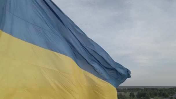 Украинский флаг. Медленное движение. Киев. Украина. Серый, плоский — стоковое видео