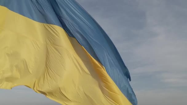 Bandera de Ucrania. En cámara lenta. Kiev. Ucrania. Gris, plano — Vídeos de Stock