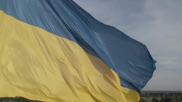 Bandera de Ucrania. En cámara lenta. Kiev. Ucrania. Gris, plano — Vídeos de Stock