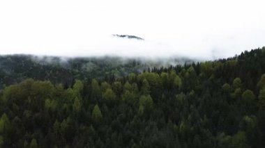 Ukrayna, Karpatlar: Dağlarda sis. Havadan.