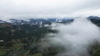 Ukrayna, Karpatlar: Dağlarda sis. Havadan.