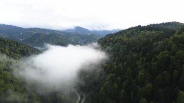 Ukrayna, Karpatlar: Dağlarda sis. Havadan.