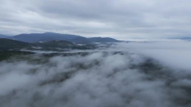 Ukrayna, Karpatlar: Dağlarda sis. Havadan.