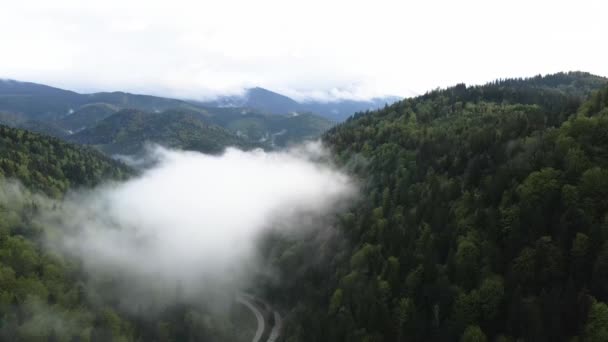 ウクライナ、カルパティア:山の中で霧。空中. — ストック動画