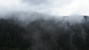 Ukrayna, Karpatlar: Dağlarda sis. Havadan.