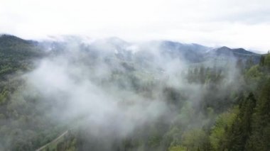 Ukrayna, Karpatlar: Dağlarda sis. Havadan.