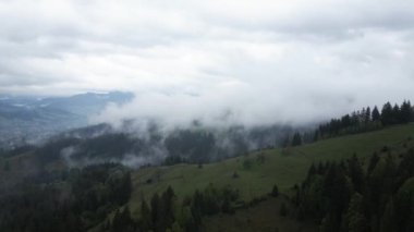 Ukrayna, Karpatlar: Dağlarda sis. Havadan.