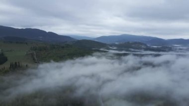 Ukrayna, Karpatlar: Dağlarda sis. Havadan.