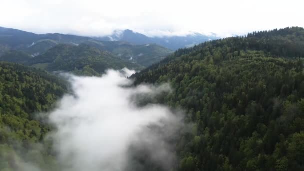 Ucrânia, Cárpatos: Névoa nas montanhas. Aviação . — Vídeo de Stock