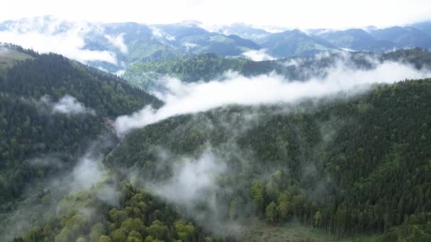 Ucrania, Cárpatos: Niebla en las montañas. Antena . — Vídeos de Stock