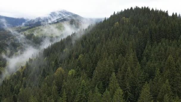 Ukrajina, Karpaty: mlha v horách. Letecký. — Stock video