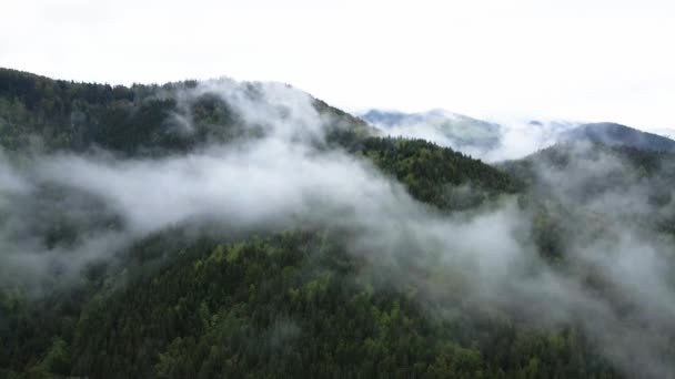 Oekraïne, Karpaten: mist in de bergen. Luchtfoto. — Stockvideo