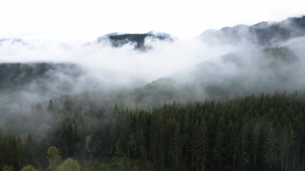 Ουκρανία, Καρπάθια: Ομίχλη στα βουνά. Αεροσκάφος. — Αρχείο Βίντεο