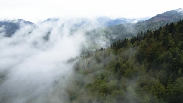 Ukraine, Carpates : brouillard dans les montagnes. Aérien.