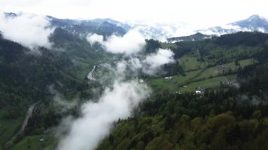 Ukrayna, Karpatlar: Dağlarda sis. Havadan.