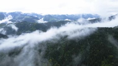 Ukrayna, Karpatlar: Dağlarda sis. Havadan.