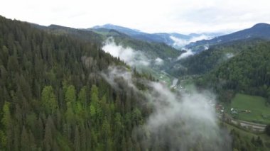 Ukrayna, Karpatlar: Dağlarda sis. Havadan.