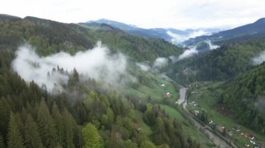 Ukrayna, Karpatlar: Dağlarda sis. Havadan.